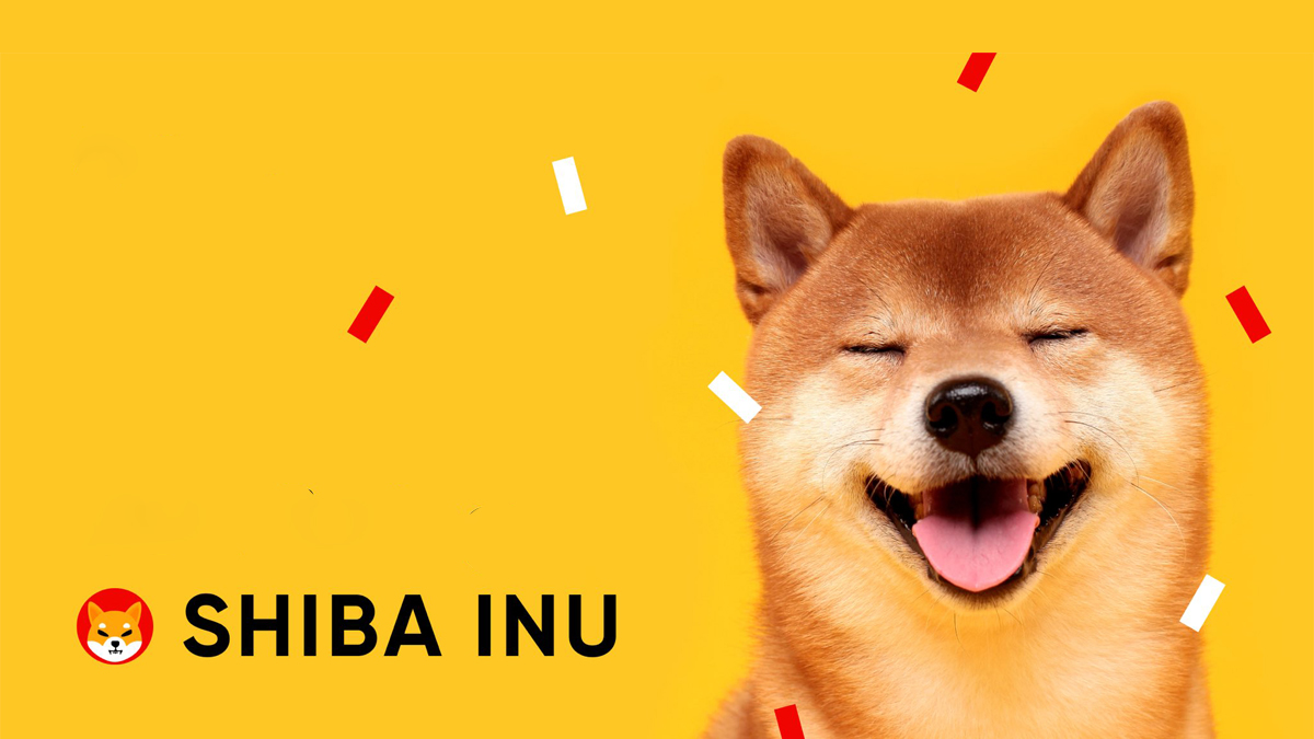 Shiba Inu Price Today Jumps